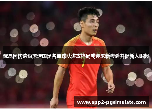 武磊因伤遗憾落选国足名单球队进攻格局或迎来新考验并促新人崛起